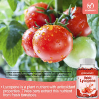 Lycopene Supplement - Prostate and Heart Health, Antioxidants, Bladder and Urinary Tract Health - 120 Capsules
