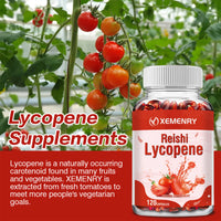 Lycopene Supplement - Prostate and Heart Health, Antioxidants, Bladder and Urinary Tract Health - 120 Capsules